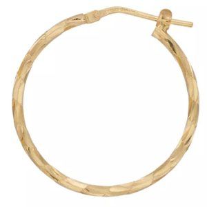 2/30$ NWT single hoop earring24k gold over sterling
